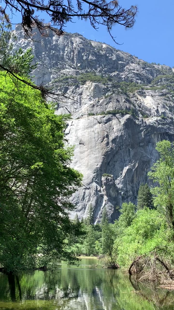 Vách núi và hàng cây phản chiếu trên dòng nước California.